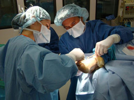 Foot Surgery